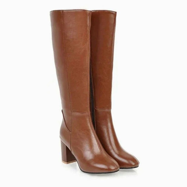 Women's Knee-High Block Heeled Boots Side-Zip Tall Shaft - Brown