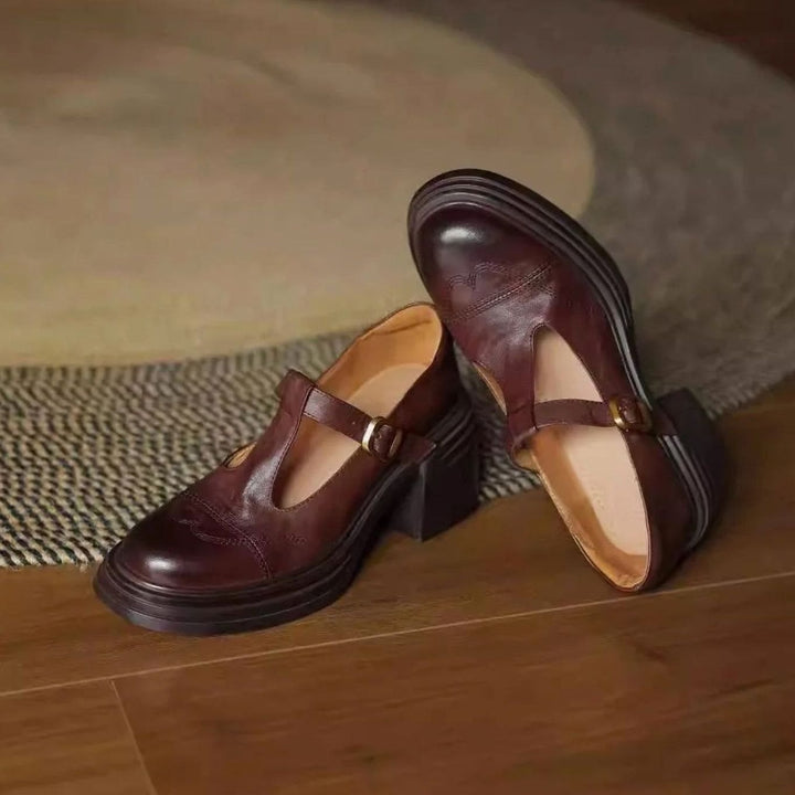 Women's Vintage-Inspired Leather Block-Heel T-Strap Shoes - Brown